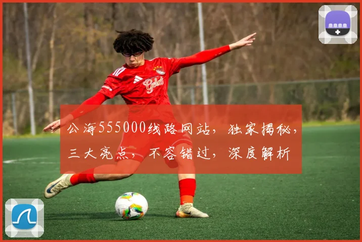 公海555000线路网站，独家揭秘，三大亮点，不容错过，深度解析