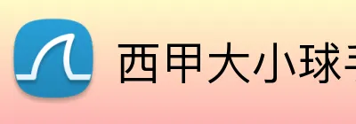 西甲大小球手机投注 logo